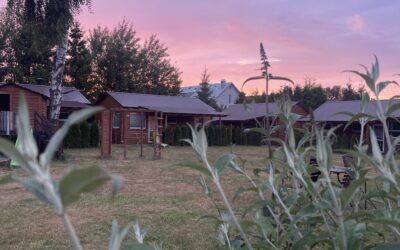 Tam gdzie las spotyka morze, każdy w Solarisie odpocząć może